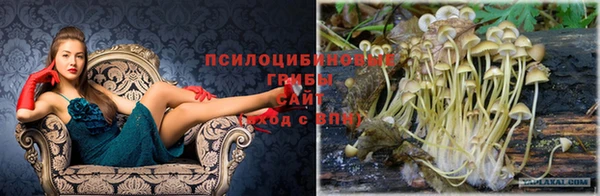 прущая мука Заводоуковск