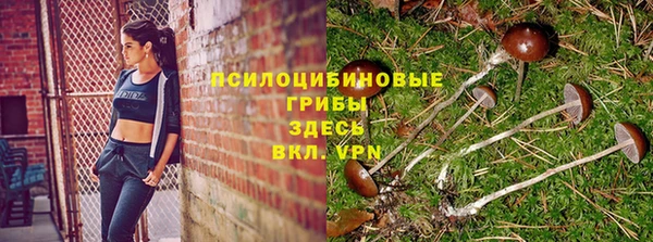 мдма Заволжье