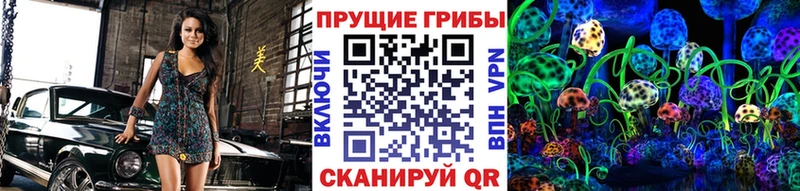 Галлюциногенные грибы мухоморы  где купить наркоту  Кизилюрт 